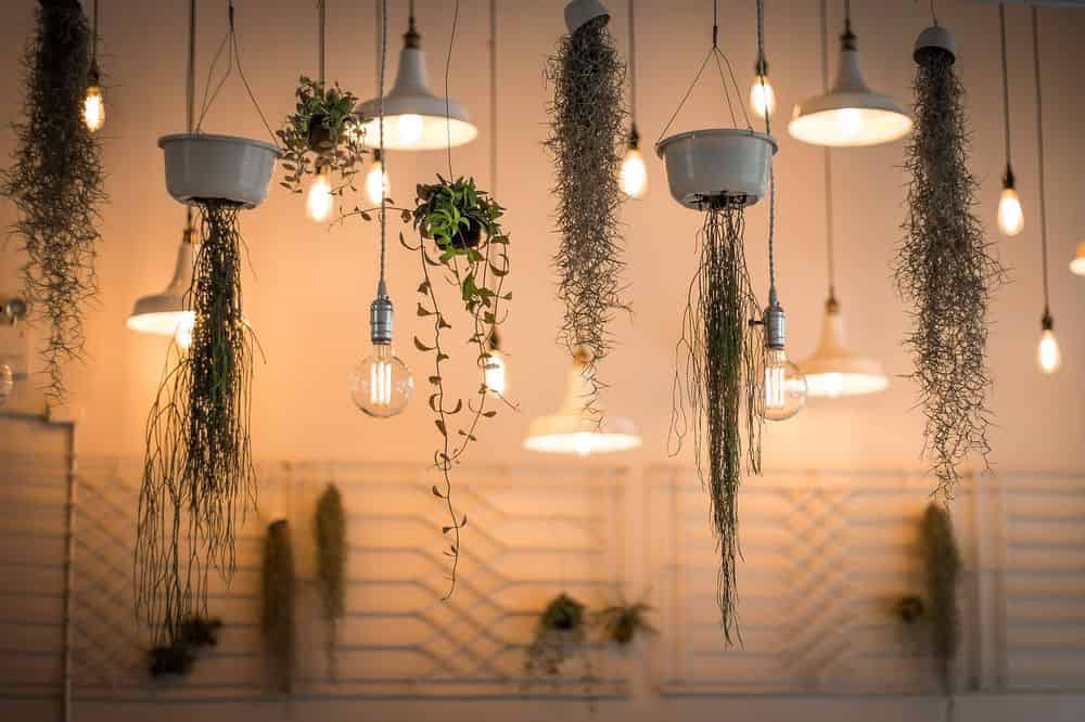 Lighting Installation image